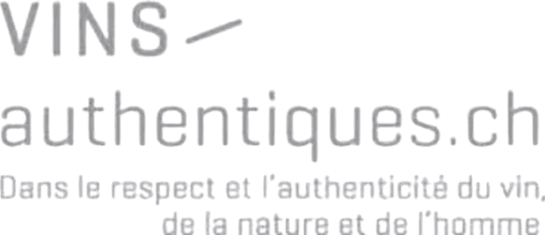 Logo de l'entreprise Vins authentiques